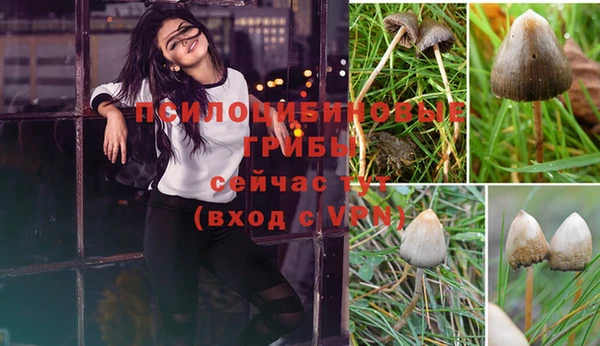 меф Медногорск