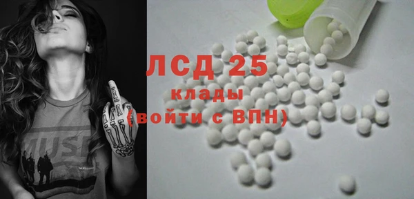 хмурый Мегион