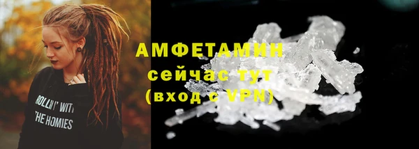 хмурый Мегион