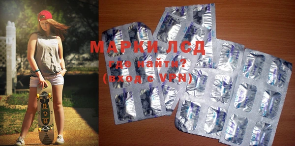 хмурый Мегион