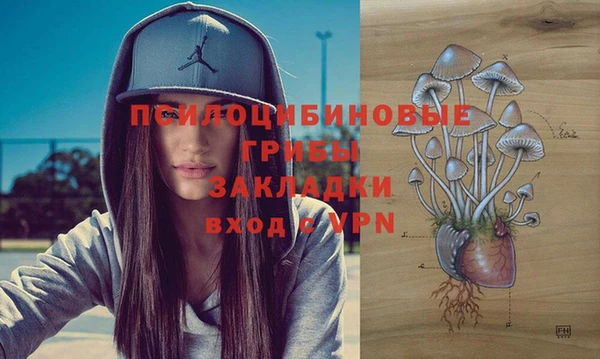 a pvp Медвежьегорск