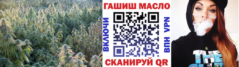 Купить где  Кондрово  Дистиллят ТГК Wax 