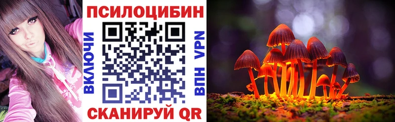 Псилоцибиновые грибы Magic Shrooms  Купить закладки  Кондрово 
