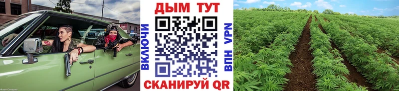 Купить  Кондрово  Бошки Шишки план 